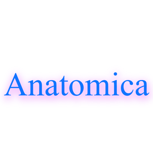 Серия Lineaflex Anatomica