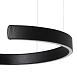 10025/400 Black Подвесной светильник LOFT IT Ring - фото