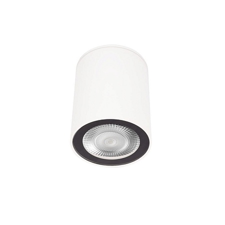 10344 White Накладной светильник LOFT IT Rush - фото