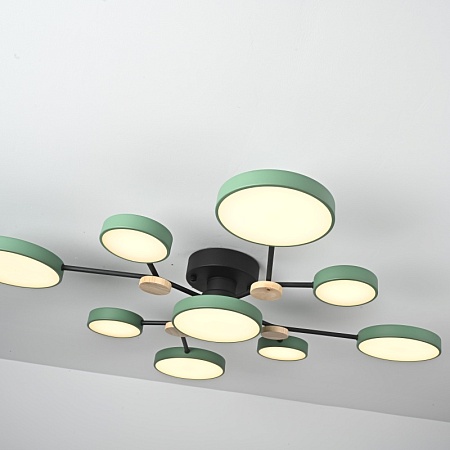 Потолочная Люстра Gamma D98 Green Imperiumloft 223772-23 - фото