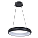 Подвесная люстра Arte Lamp ALGEDI A6028SP-46BK - фото