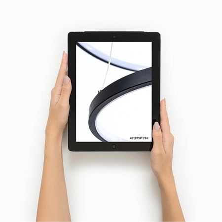 Подвесная люстра Arte Lamp FRODO A2197SP-2BK - фото