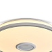 Потолочный светильник Freya FR6226CL-L36W - фото