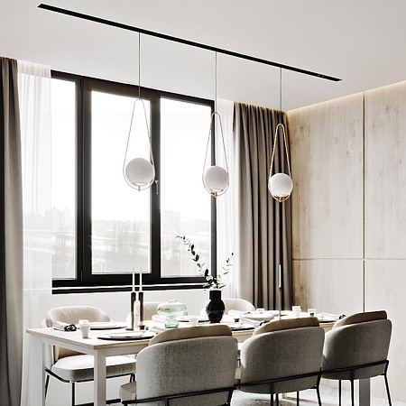 Подвесной Светильник Hoop Drop Black Imperiumloft 213738-26 - фото