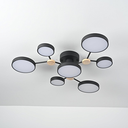 Потолочная Люстра Gamma D88 Black Imperiumloft 223768-23 - фото