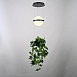 Подвесной Светильник Palma Wall Lamp Шар + Вазон Imperiumloft 168489-22 - фото