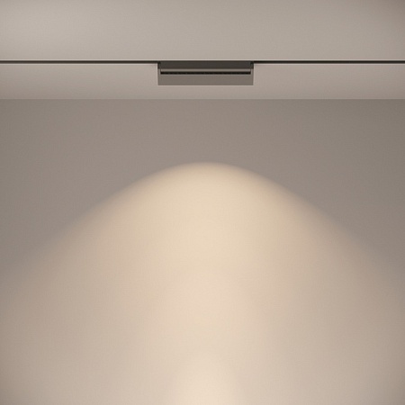 Трековый светильник Technical Basis Rot TR013-2-20W4K-B - фото