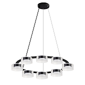 Подвесная люстра Arte Lamp ALIUS A8042SP-8BK