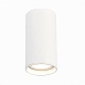 Светильник потолочный Белый LED 1*15W 4000K 1 200Lm Ra>90 60° IP44 D75xH140 220-265V ST157.542.15 - фото