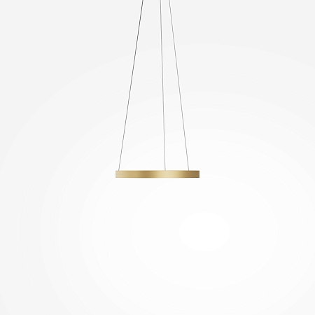 Подвесной светильник Maytoni Rim MOD058PL-L22BSK - фото