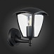 Светильник уличный настенный ST-Luce Черный/Черный, Прозрачный E27 1*40W SL081.401.01 - фото