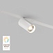 Светильник на шине Denkirs SMART SPOT DK8010-WH - фото