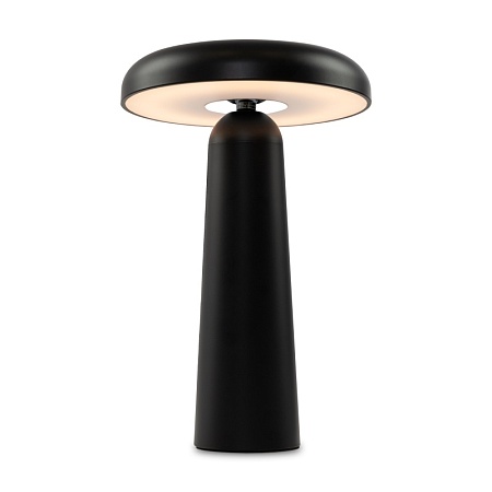 Аккумуляторный светильник Freya FR6109TL-L4B - фото