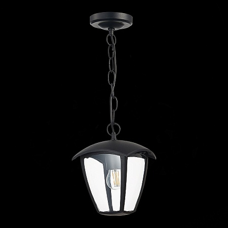 Светильник уличный подвесной ST-Luce Черный/Черный, Прозрачный E27 1*40W SL081.403.01 - фото