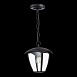 Светильник уличный подвесной ST-Luce Черный/Черный, Прозрачный E27 1*40W SL081.403.01 - фото