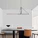 Подвесной Светильник Suspension Cercle Et Trait – Graphite Satine L170 Imperiumloft 202723-23 - фото