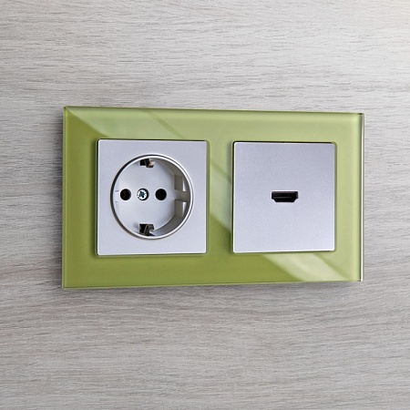 Розетка с заземлением серебряный WL06-SKG-01-IP20 - фото