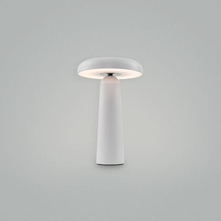 Аккумуляторный светильник Freya FR6109TL-L4W - фото