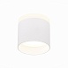 Светильник потолочный Белый LED 1*9W 4000K 702Lm Ra>80 120° IP20 D79xH75 170-240V ST102.542.09 - фото