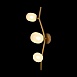 10212W Gold Настенный светильник LOFT IT Sakura - фото