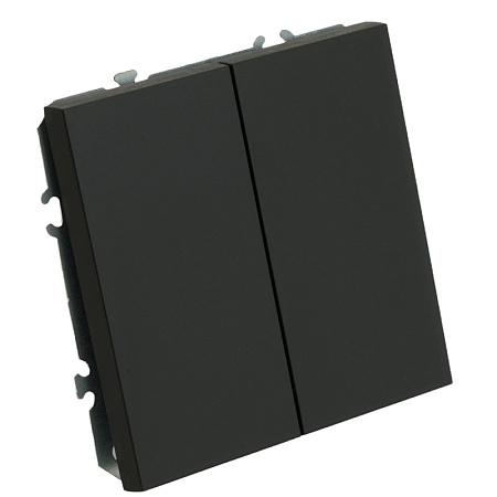 Выключатель 2-клавишный (механизм), STEKKER, 250В, 10А, серия Эмили, RSW10-5104-05, черный уголь, soft touch - фото