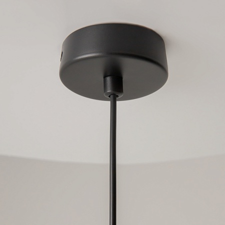 Подвесной светильник Maytoni Palette MOD303PL-01CFL3 - фото