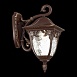 Светильник уличный настенный ST-Luce Кофейный/Кофейный, Прозрачный E27 1*60W SL083.701.01 - фото