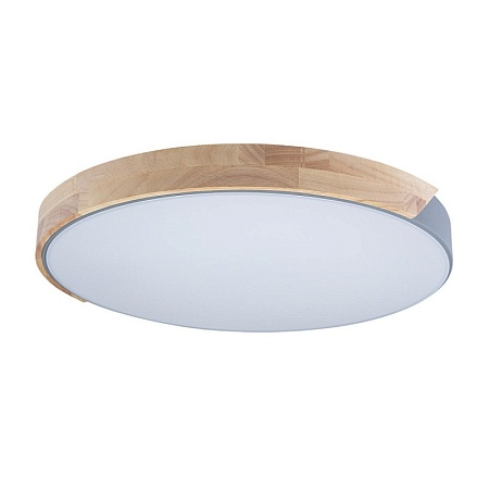 10004/36 Grey Потолочный светильник LOFT IT Axel - фото