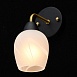 Бра  ия MW-Light Олимп 638028201 - фото