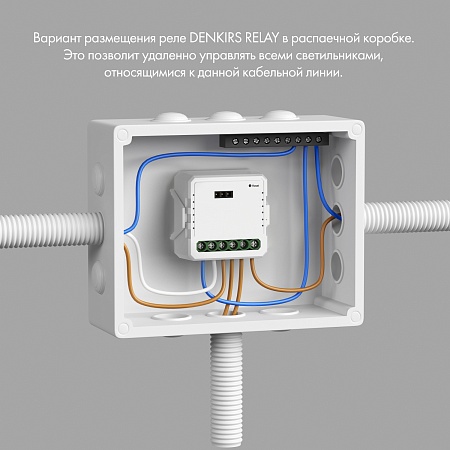 RL1003-DM Одноканальное Wi-Fi реле-диммер 1 x 200 Вт - фото