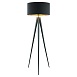 Торшер Lussole Tallapoosa LSP-0607 - фото
