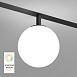 Светильник на шине Denkirs SMART MOON DK8050-BK - фото