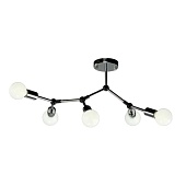 Потолочная люстра Arte Lamp FLEX A6206PL-5CC