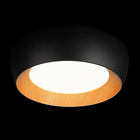 10255/500 Black Потолочный светильник LOFT IT Folk - фото