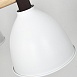 Потолочная Люстра Flan 5 Imperiumloft 178009-26 - фото