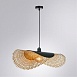Подвесной светильник Arte Lamp WOODSTOCK A7063SP-1BK - фото