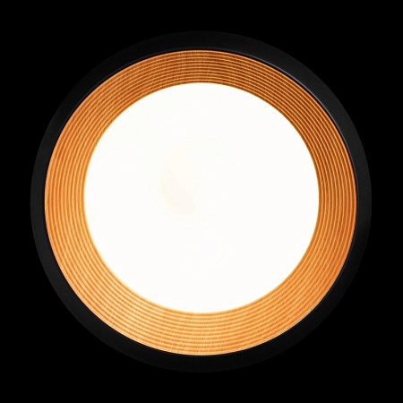 10255/500 Black Потолочный светильник LOFT IT Folk - фото