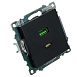 Розетка 2-местная USB + type C (механизм), STEKKER GLS10-7116-05, 250B, 3А, серия Катрин, черный - фото