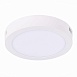 Светильник настенно-потолочный Белый LED 1*12W 4000K 795Lm Ra80 120° IP20 D160xH28 90-2 ST112.542.12 - фото