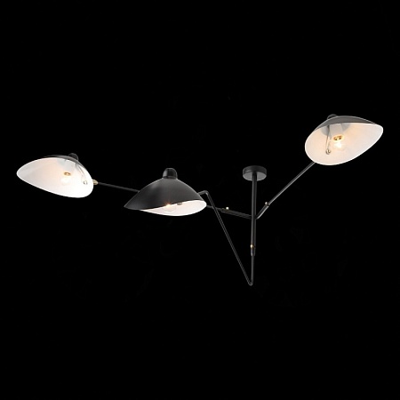 Люстра потолочная ST-Luce Черный/Черный, Белый E27 3*60W SL305.402.03 - фото