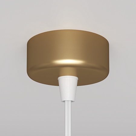 Подвесной светильник Technical Focus Design P038PL-01G - фото