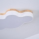 Потолочный Светильник Cloud Eco D63 White Imperiumloft 189501-26 - фото