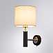 Бра Arte Lamp ROBERT A5029AP-1SS - фото