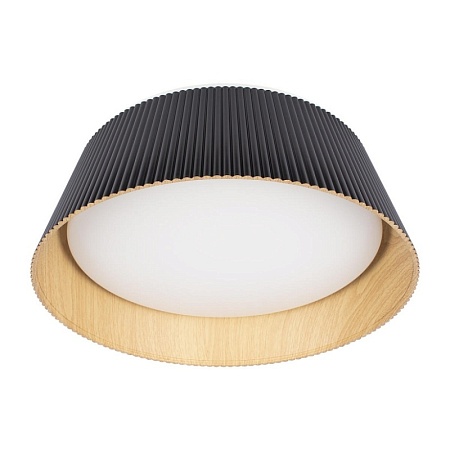 10224 Black Потолочный светильник LOFT IT Evans - фото