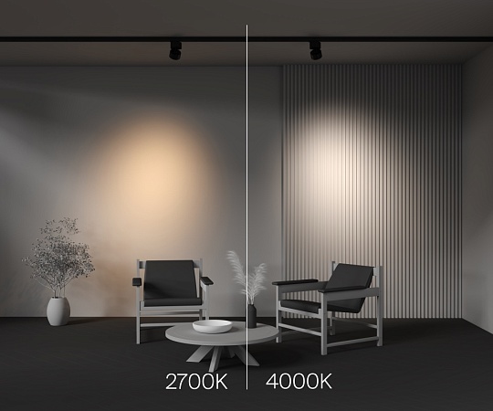 Трековый светильник Technical Alfa TR199-3-15W2.7K-M-B - фото