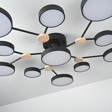 Потолочная Люстра Gamma D102 Black Imperiumloft 223770-23 - фото