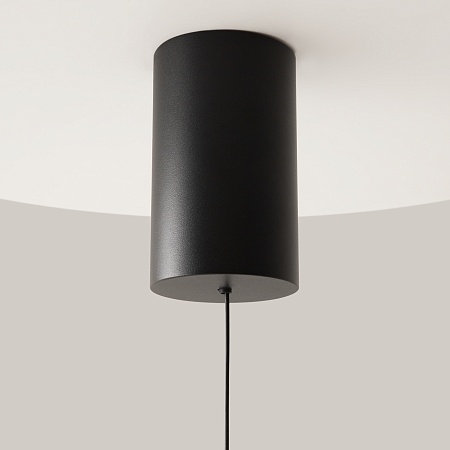 Подвесной светильник Technical Mist P101PL-L300-12W3K-B - фото