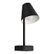 10216/1W Black Настенный светильник LOFT IT Shelf - фото
