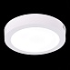 Светильник настенно-потолочный Белый LED 1*12W 4000K 795Lm Ra80 120° IP20 D160xH28 90-2 ST112.542.12 - фото