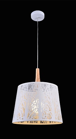 Подвесной светильник Maytoni Lantern MOD029-PL-01-W - фото